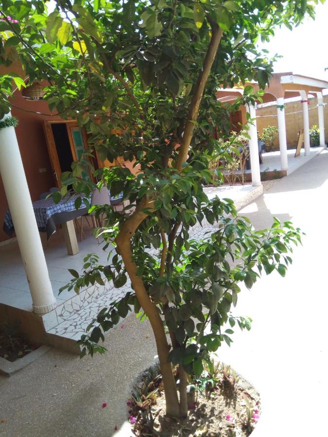 Chez Coumba Et Daniel Bed and Breakfast Saly Portudal Εξωτερικό φωτογραφία